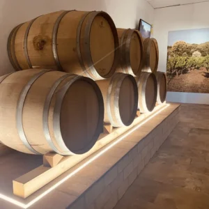 Bodegas Cazallo