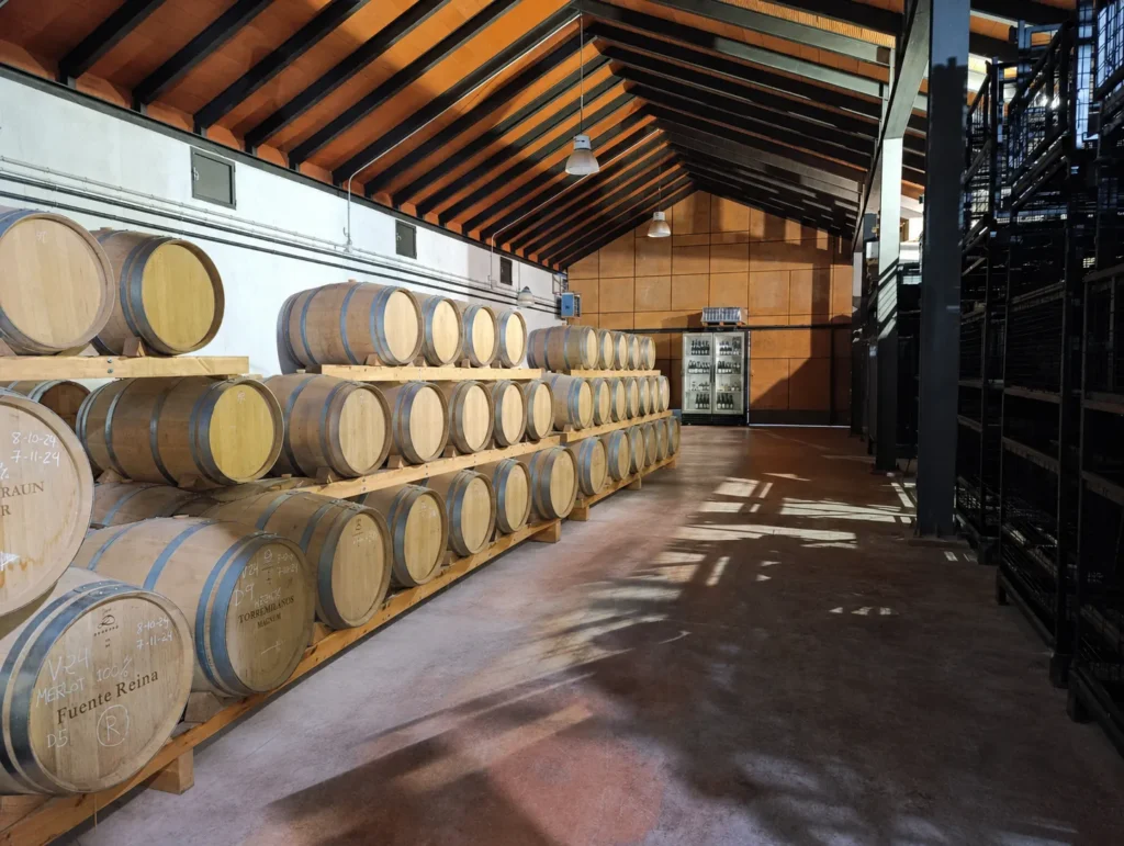 Bodegas Fuente Reina