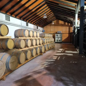 Bodegas Fuente Reina