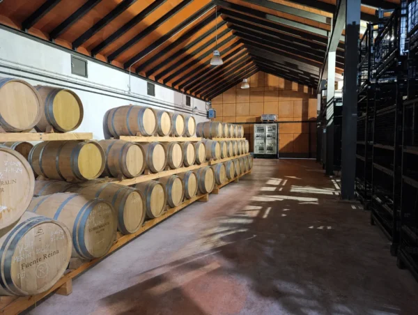 Bodegas Fuente Reina